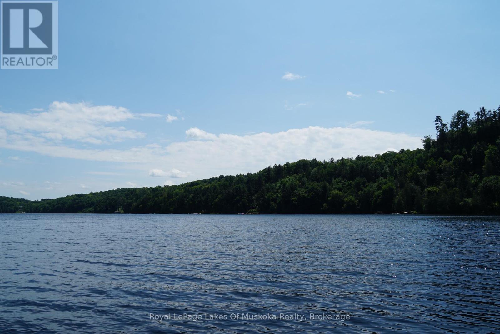 29 Thorburn Lane, Huntsville, Ontario  P1H 0C3 - Photo 9 - X12106255