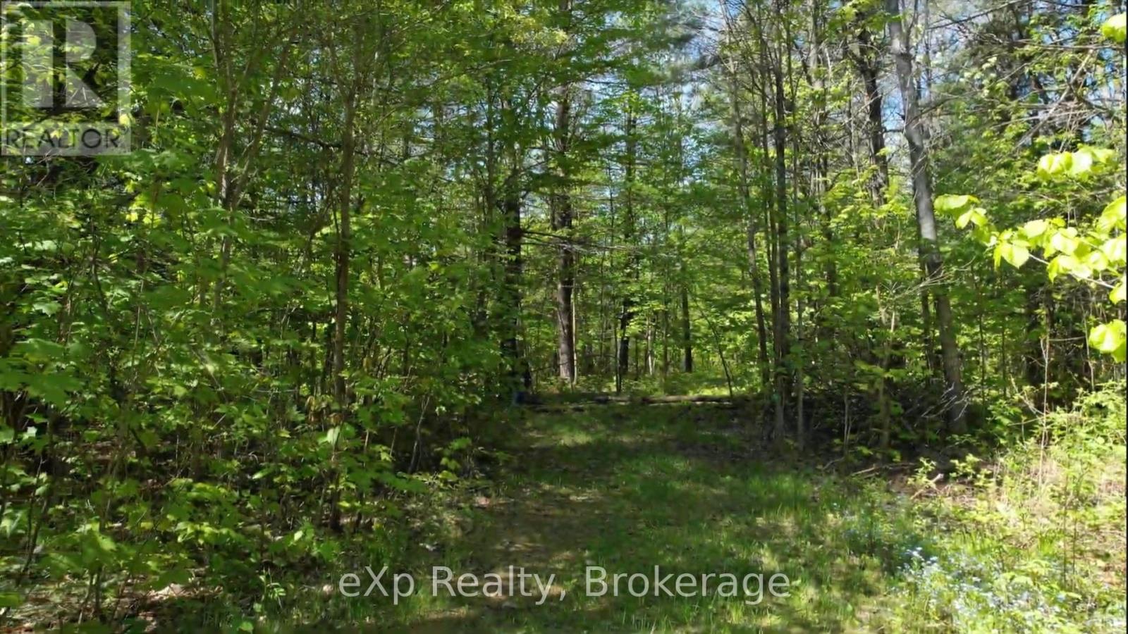 26 Magnet Road, Magnetawan, Ontario  P0A 1P0 - Photo 4 - X12106593