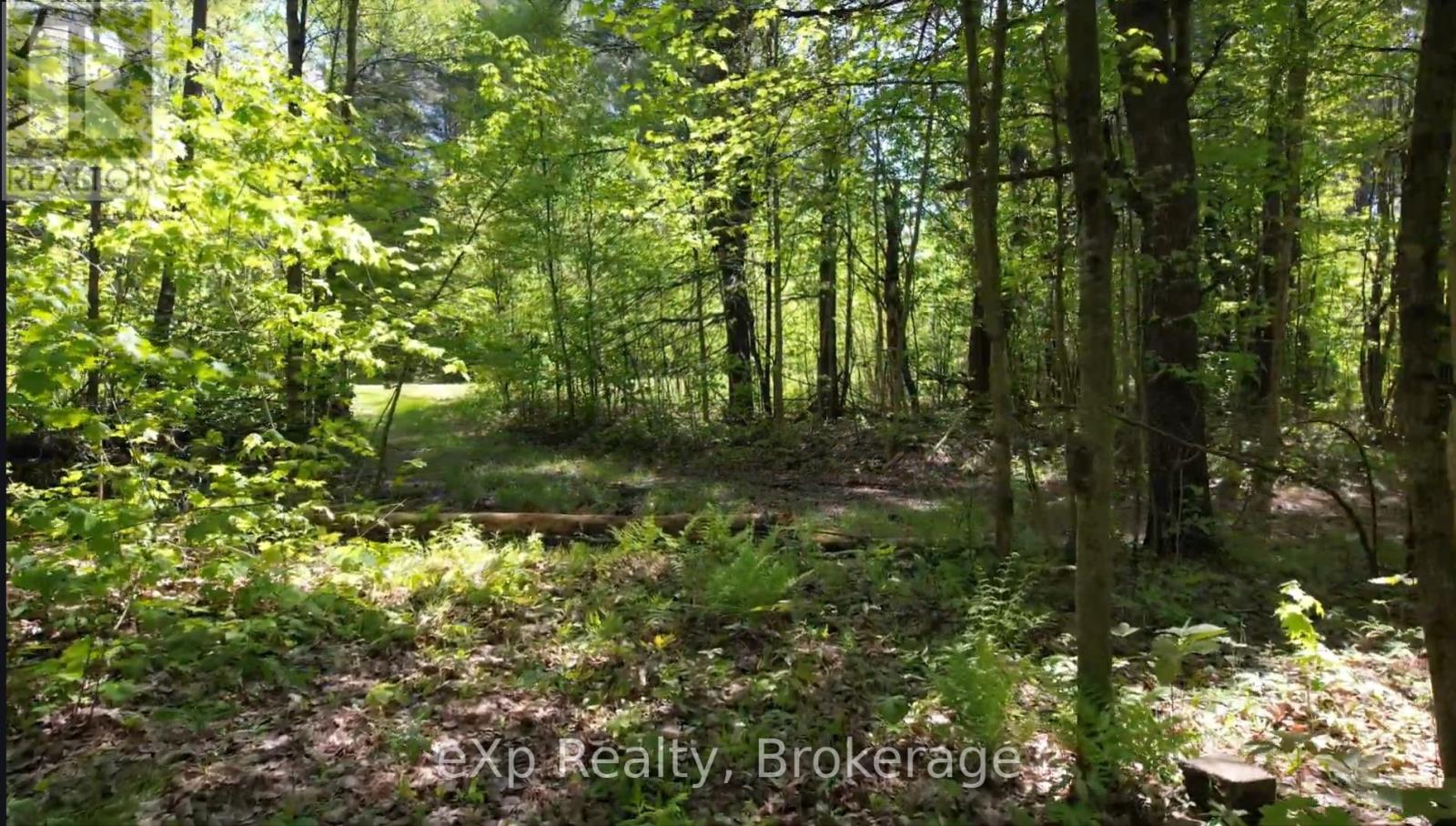 26 Magnet Road, Magnetawan, Ontario  P0A 1P0 - Photo 7 - X12106593