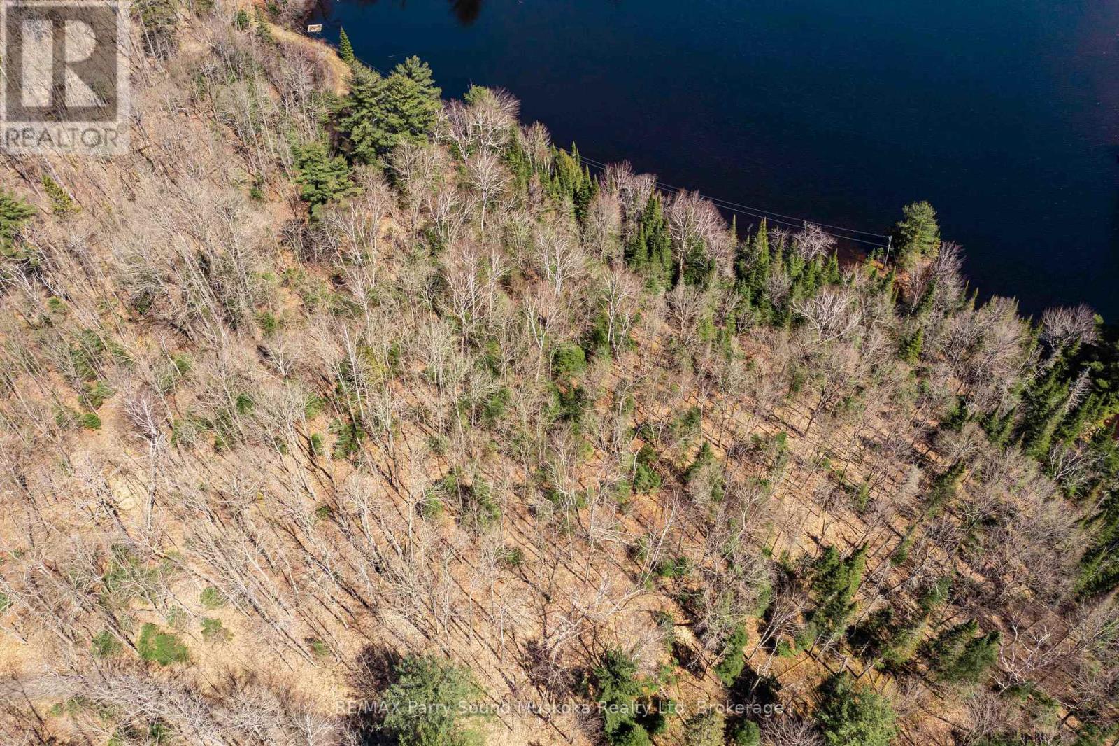N/a Rocky Reef Road, Magnetawan, Ontario  P0A 1P0 - Photo 11 - X12108377