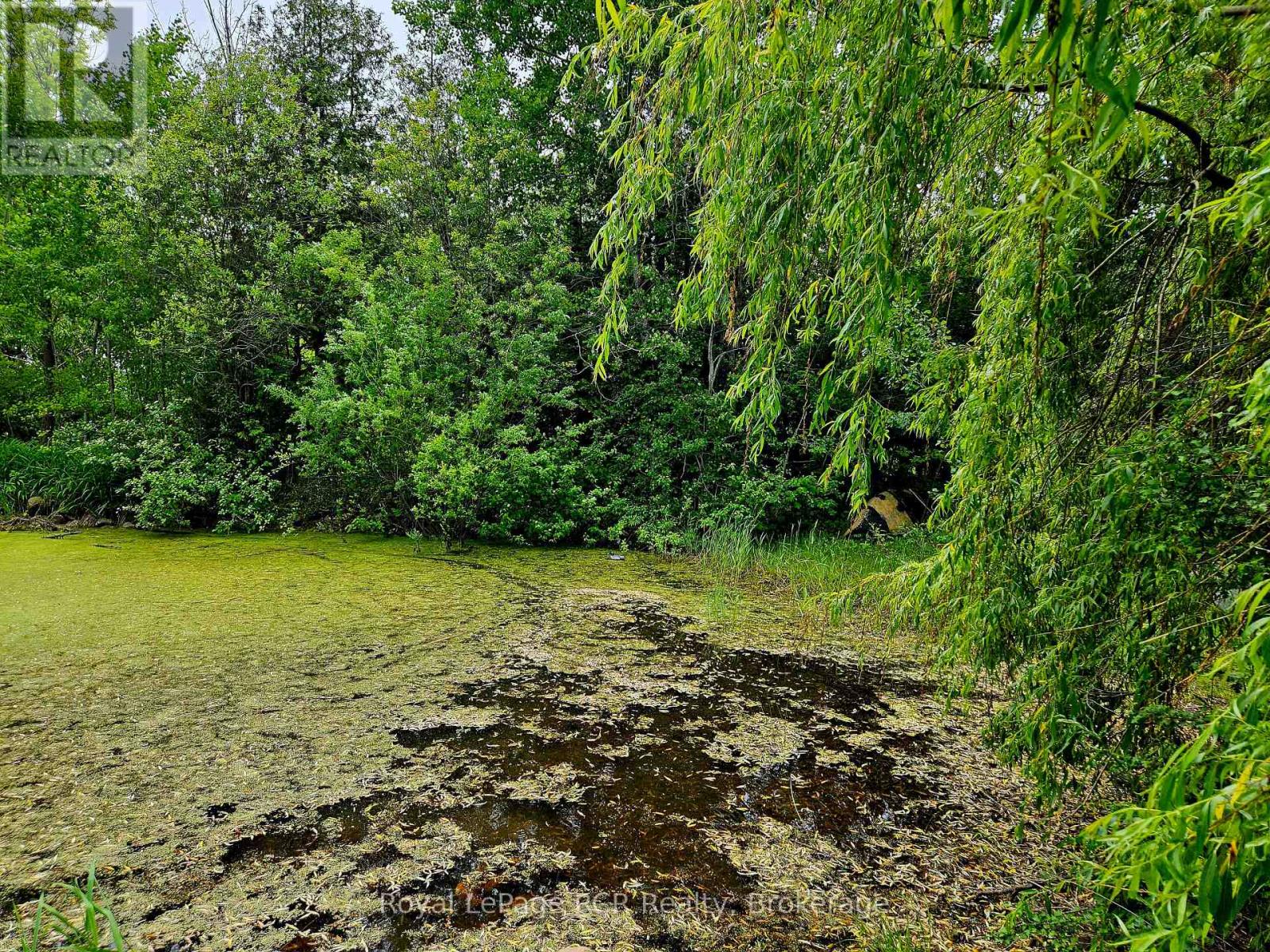 127 Kirk Street, Georgian Bluffs, Ontario  N4K 0G2 - Photo 3 - X12110467