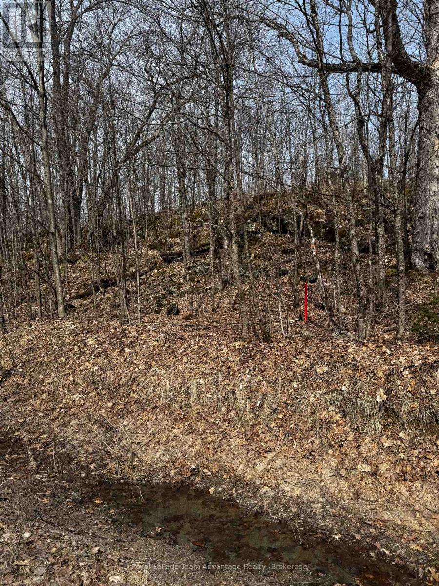 Lot 1 Lorimer Lake Road, Whitestone, Ontario  P0A 1G0 - Photo 21 - X12110611