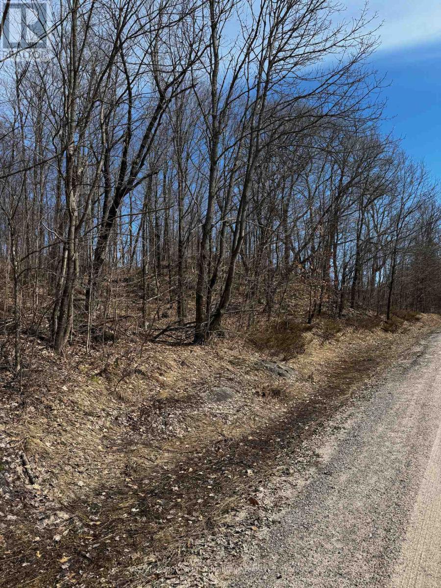 Lot 1 Lorimer Lake Road, Whitestone, Ontario  P0A 1G0 - Photo 23 - X12110611