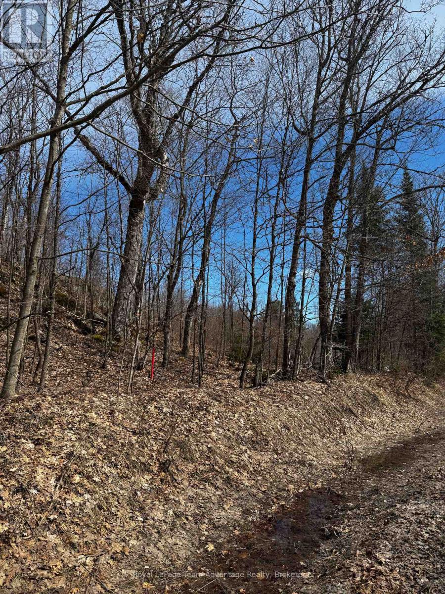 Lot 1 Lorimer Lake Road, Whitestone, Ontario  P0A 1G0 - Photo 24 - X12110611