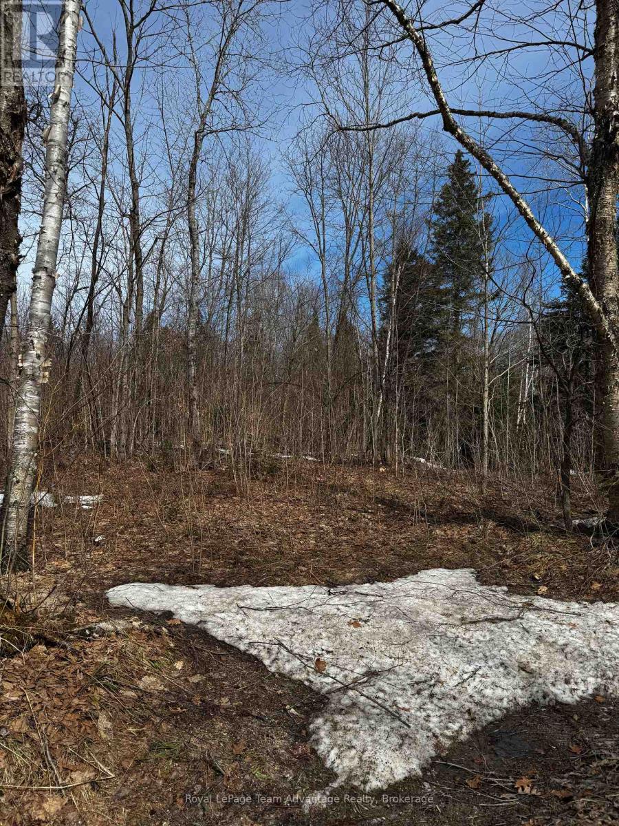 Lot 1 Lorimer Lake Road, Whitestone, Ontario  P0A 1G0 - Photo 27 - X12110611