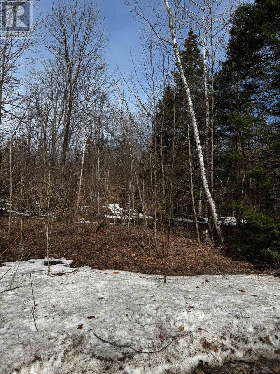 Lot 1 Lorimer Lake Road, Whitestone, Ontario  P0A 1G0 - Photo 28 - X12110611