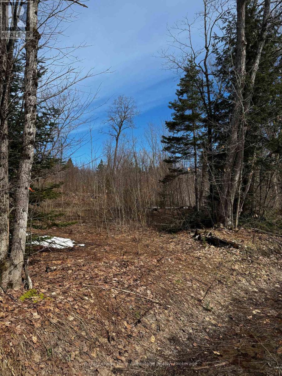 Lot 3 Lorimer Lake Road, Whitestone, Ontario  P0A 1G0 - Photo 28 - X12110615