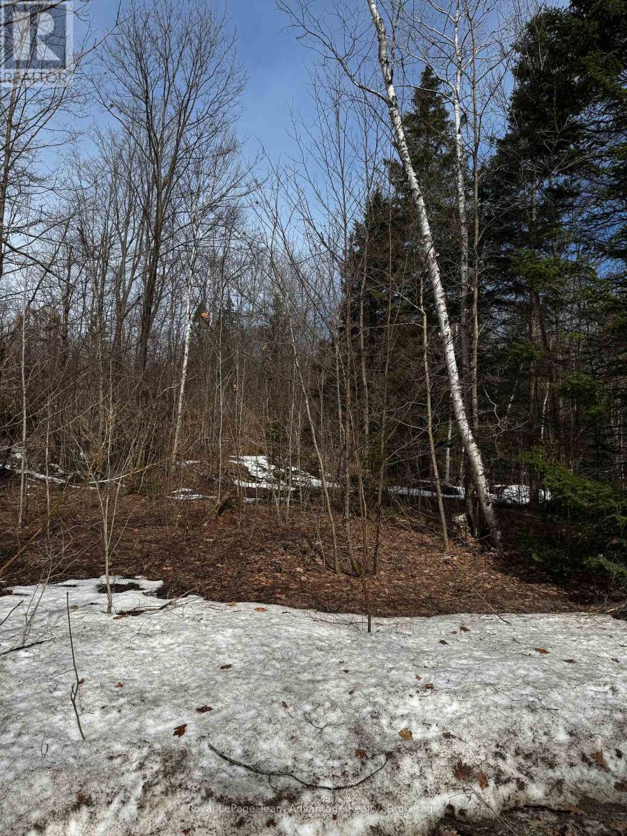 Lot 3 Lorimer Lake Road, Whitestone, Ontario  P0A 1G0 - Photo 30 - X12110615