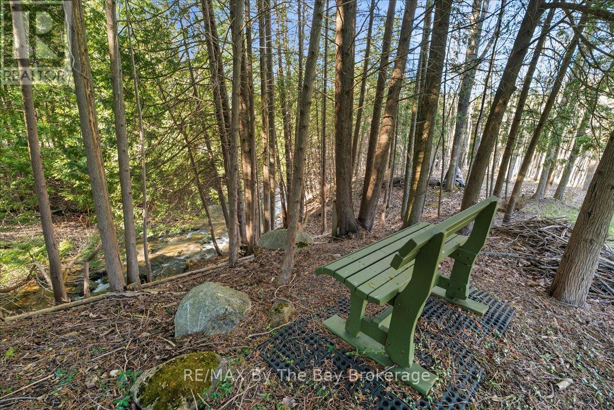 177 Talisman Mountain Drive, Grey Highlands, Ontario  N0C 1G0 - Photo 38 - X12114859