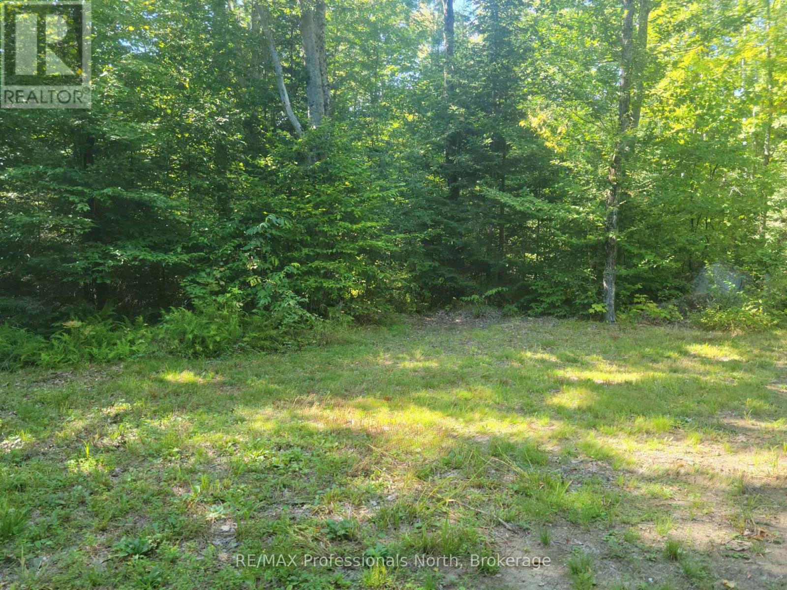364 Forestry Tower Road, Kearney, Ontario  P0A 1M0 - Photo 30 - X12115126