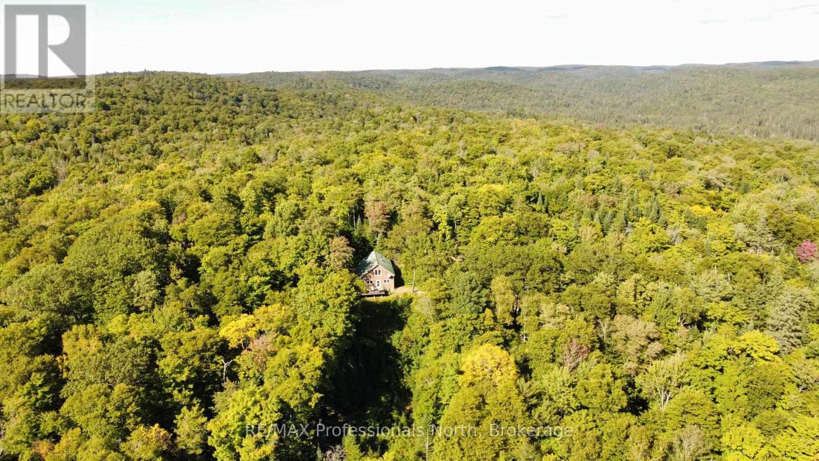 364 Forestry Tower Road, Kearney, Ontario  P0A 1M0 - Photo 47 - X12115126