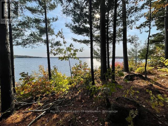 0 Hwy 35, Algonquin Highlands, Ontario  K0M 1S0 - Photo 17 - X12116185