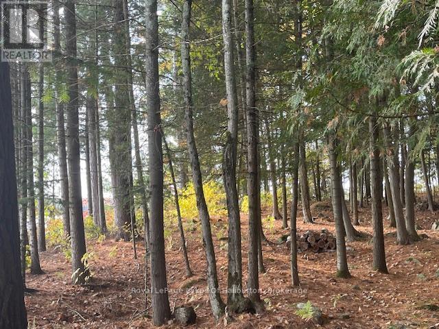 0 Hwy 35, Algonquin Highlands, Ontario  K0M 1S0 - Photo 19 - X12116185