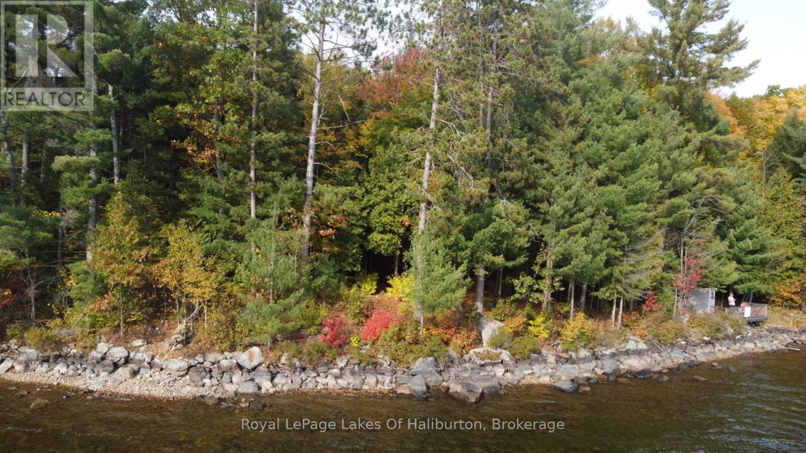 0 Hwy 35, Algonquin Highlands, Ontario  K0M 1S0 - Photo 20 - X12116185