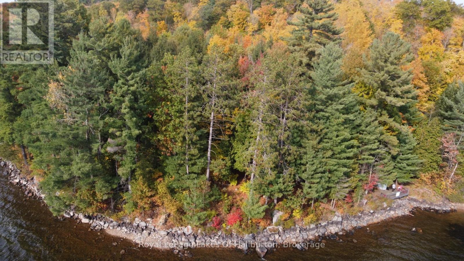 0 Hwy 35, Algonquin Highlands, Ontario  K0M 1S0 - Photo 21 - X12116185