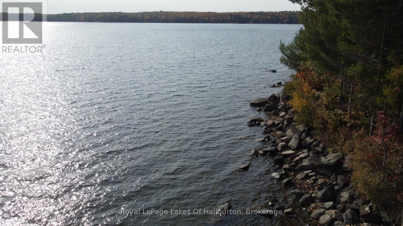 0 Hwy 35, Algonquin Highlands, Ontario  K0M 1S0 - Photo 22 - X12116185