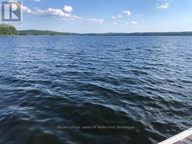 0 Hwy 35, Algonquin Highlands, Ontario  K0M 1S0 - Photo 23 - X12116185