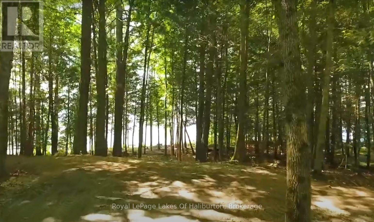 0 Hwy 35, Algonquin Highlands, Ontario  K0M 1S0 - Photo 24 - X12116185