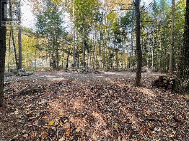 0 Hwy 35, Algonquin Highlands, Ontario  K0M 1S0 - Photo 25 - X12116185