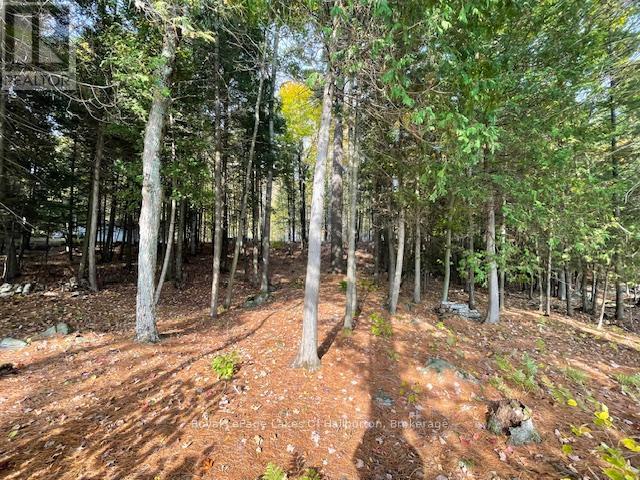 0 Hwy 35, Algonquin Highlands, Ontario  K0M 1S0 - Photo 27 - X12116185