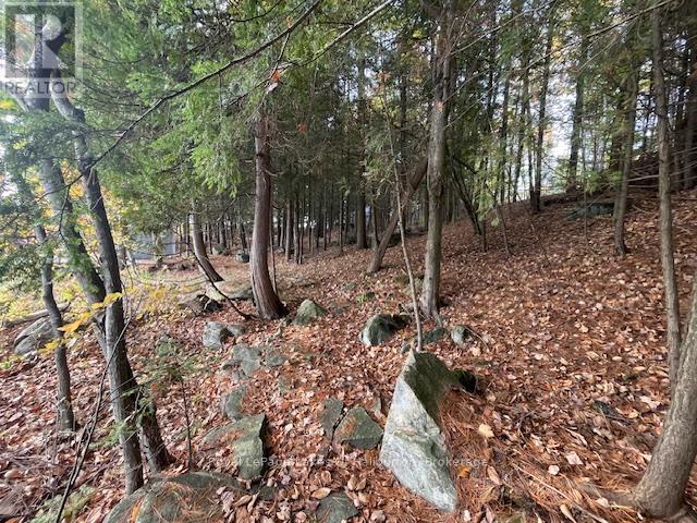 0 Hwy 35, Algonquin Highlands, Ontario  K0M 1S0 - Photo 29 - X12116185