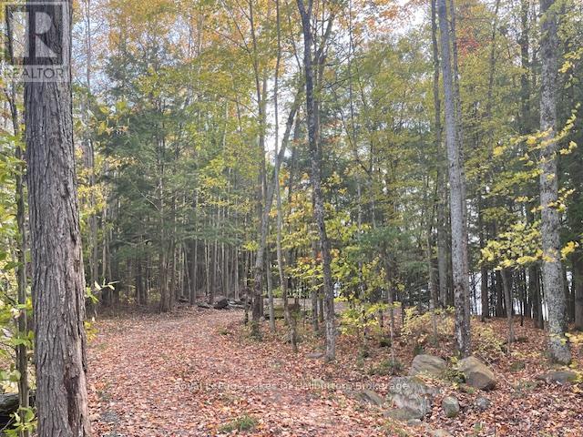 0 Hwy 35, Algonquin Highlands, Ontario  K0M 1S0 - Photo 30 - X12116185