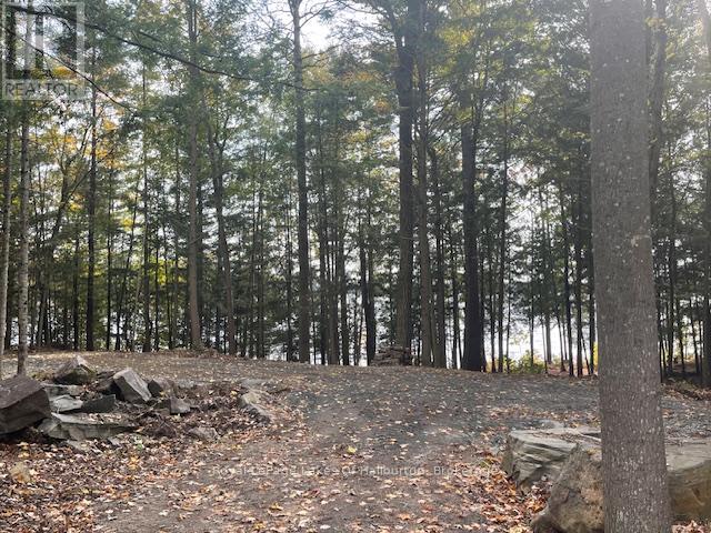 0 Hwy 35, Algonquin Highlands, Ontario  K0M 1S0 - Photo 31 - X12116185