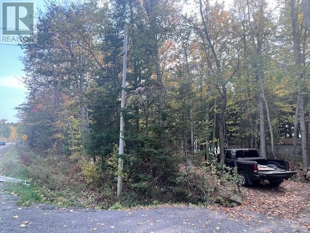 0 Hwy 35, Algonquin Highlands, Ontario  K0M 1S0 - Photo 33 - X12116185