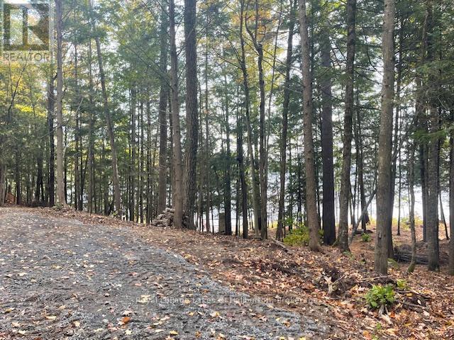 0 Hwy 35, Algonquin Highlands, Ontario  K0M 1S0 - Photo 34 - X12116185