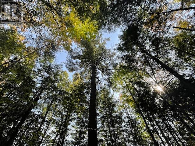 0 Hwy 35, Algonquin Highlands, Ontario  K0M 1S0 - Photo 37 - X12116185