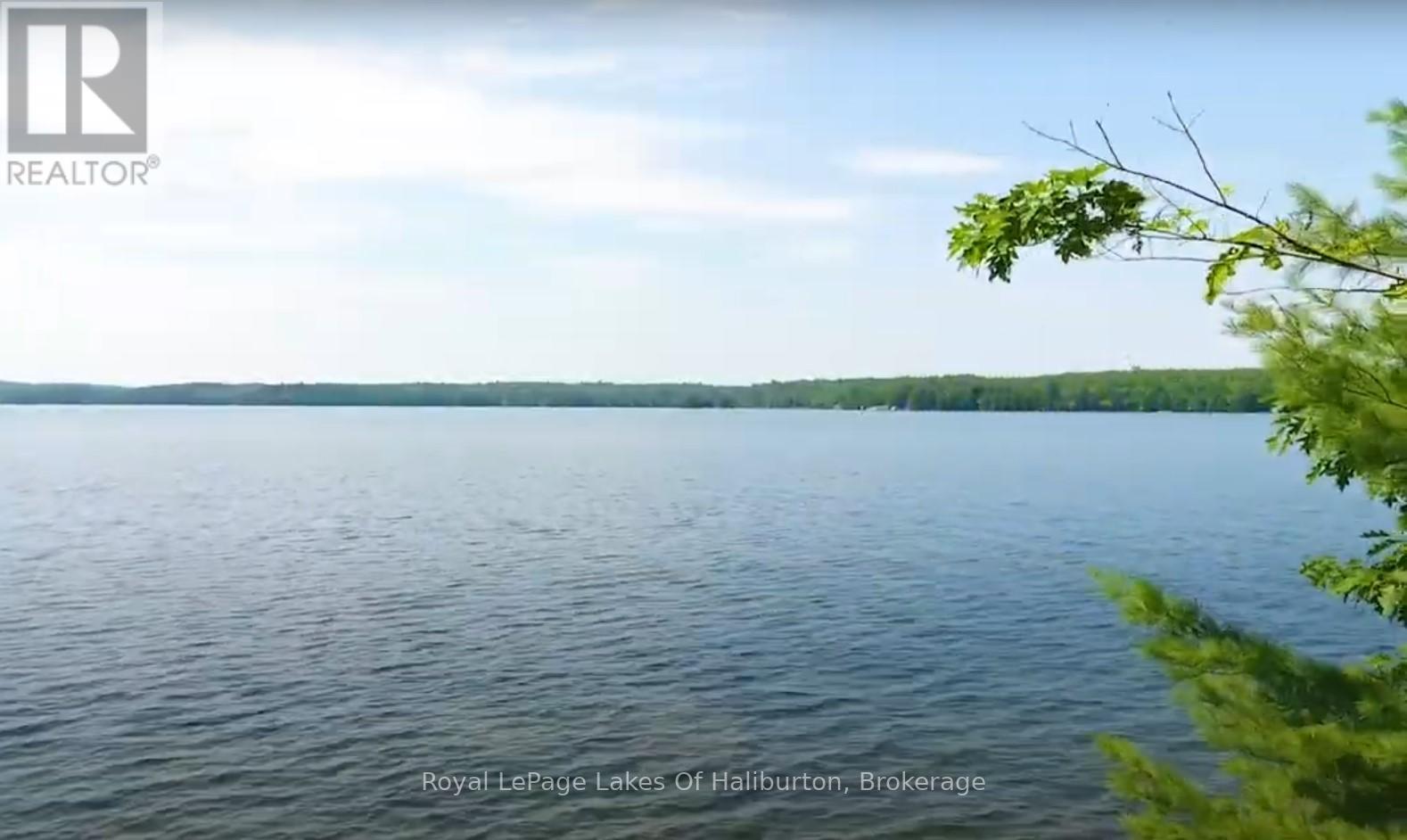 0 Hwy 35, Algonquin Highlands, Ontario  K0M 1S0 - Photo 39 - X12116185