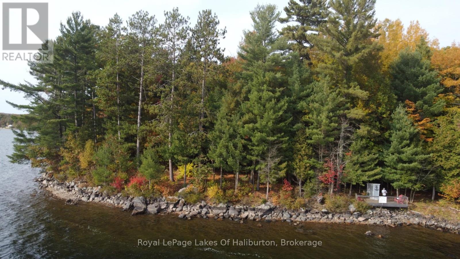 0 Hwy 35, Algonquin Highlands, Ontario  K0M 1S0 - Photo 5 - X12116185