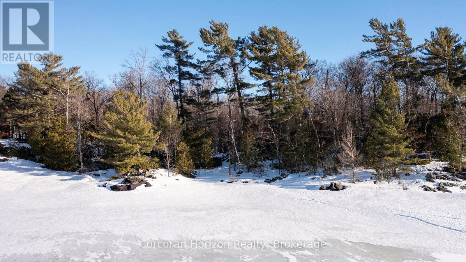 471 North Shore Rd, Georgian Bay, Ontario  L0K 1S0 - Photo 21 - X12116287