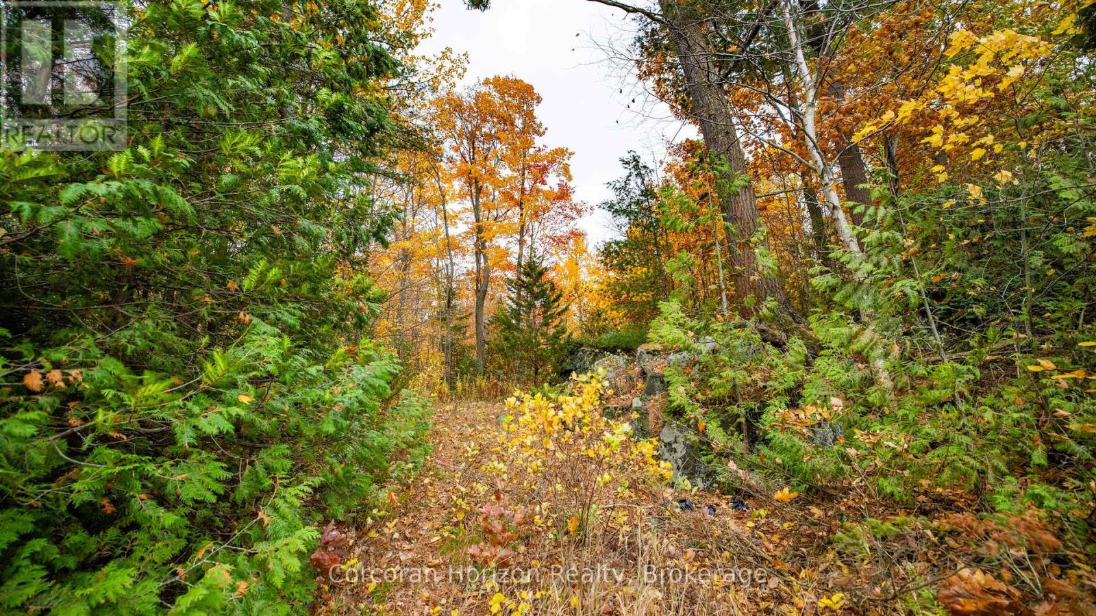 471 North Shore Rd, Georgian Bay, Ontario  L0K 1S0 - Photo 22 - X12116287