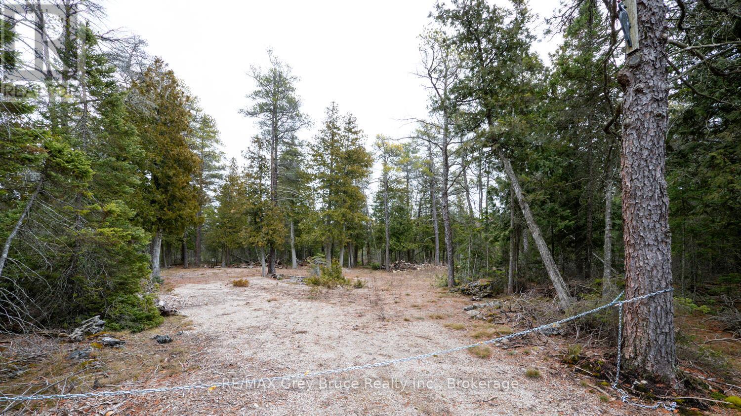 1035 Dorcas Bay Road, Northern Bruce Peninsula, Ontario  N0H 2R0 - Photo 1 - X12118901