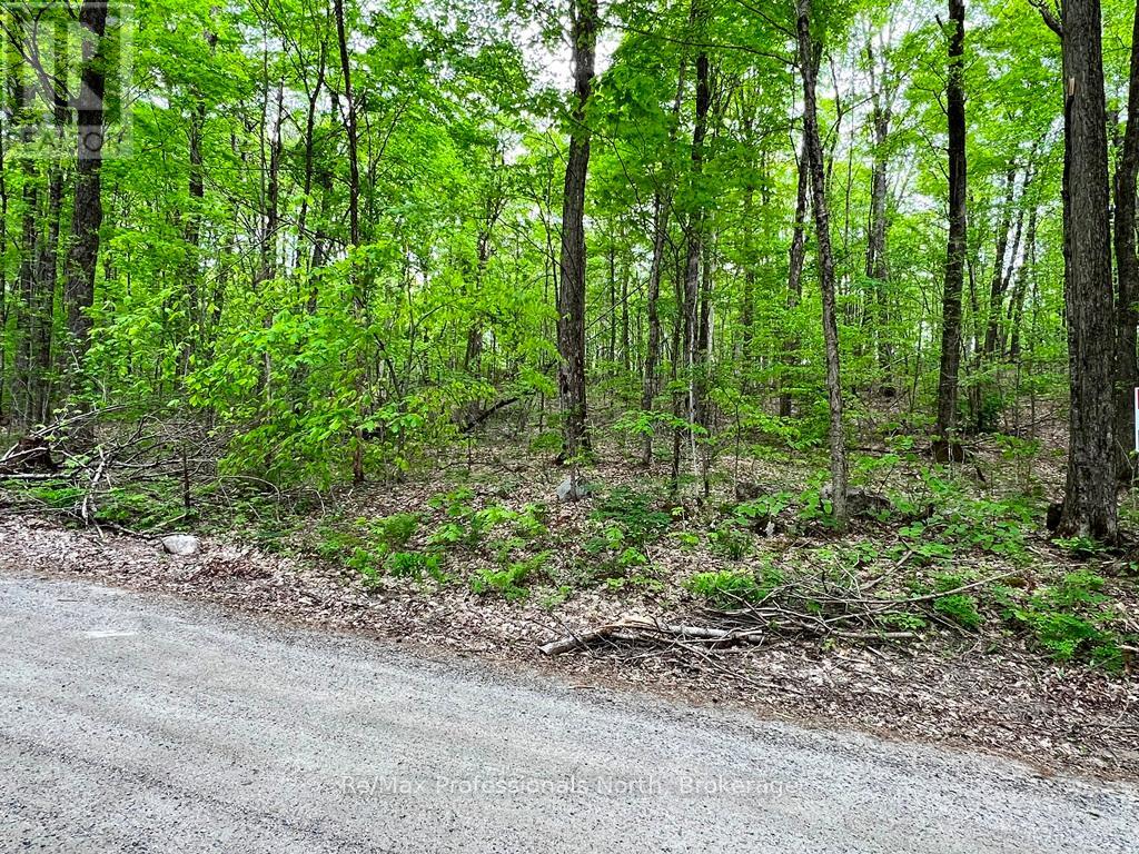 Salerno Lake Road, Highlands East, Ontario  K0M 1X0 - Photo 1 - X12118943