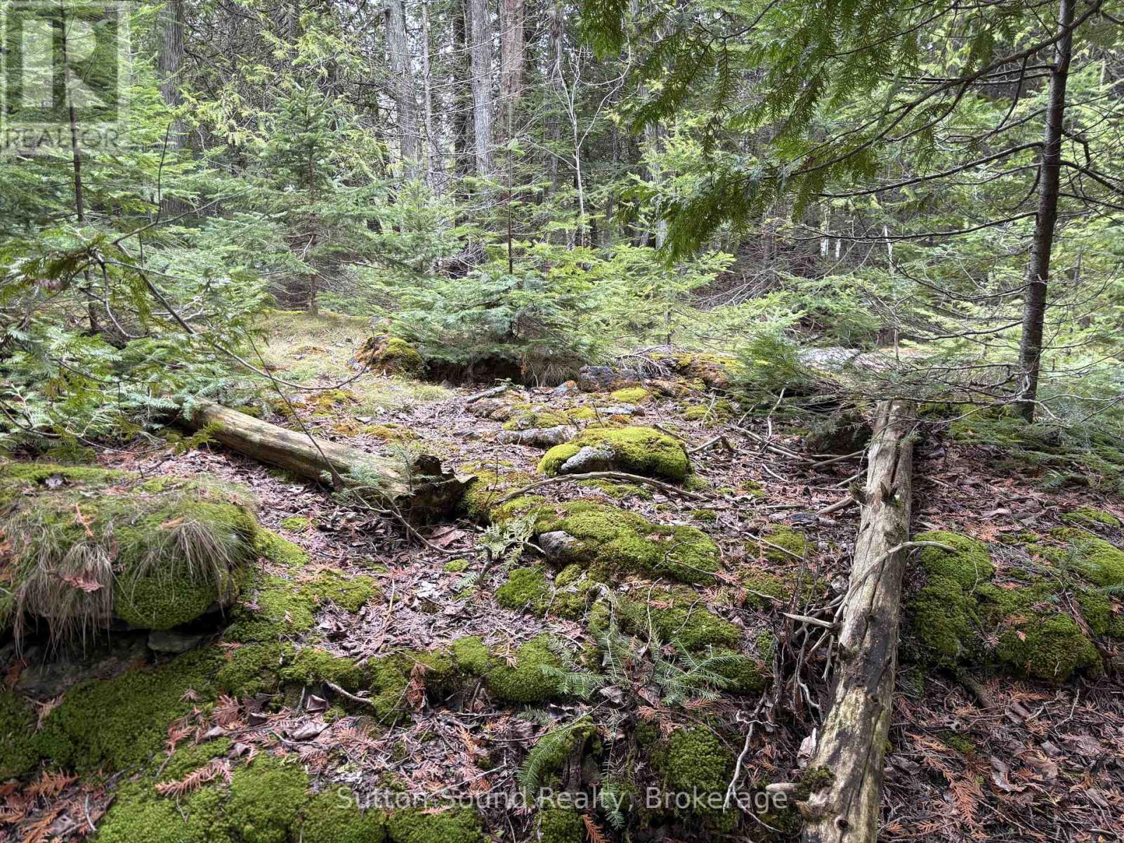 Pt Lt35 Con 3 Wbr Pt 77 Concession, Northern Bruce Peninsula, Ontario  N0H 1W0 - Photo 10 - X12121926