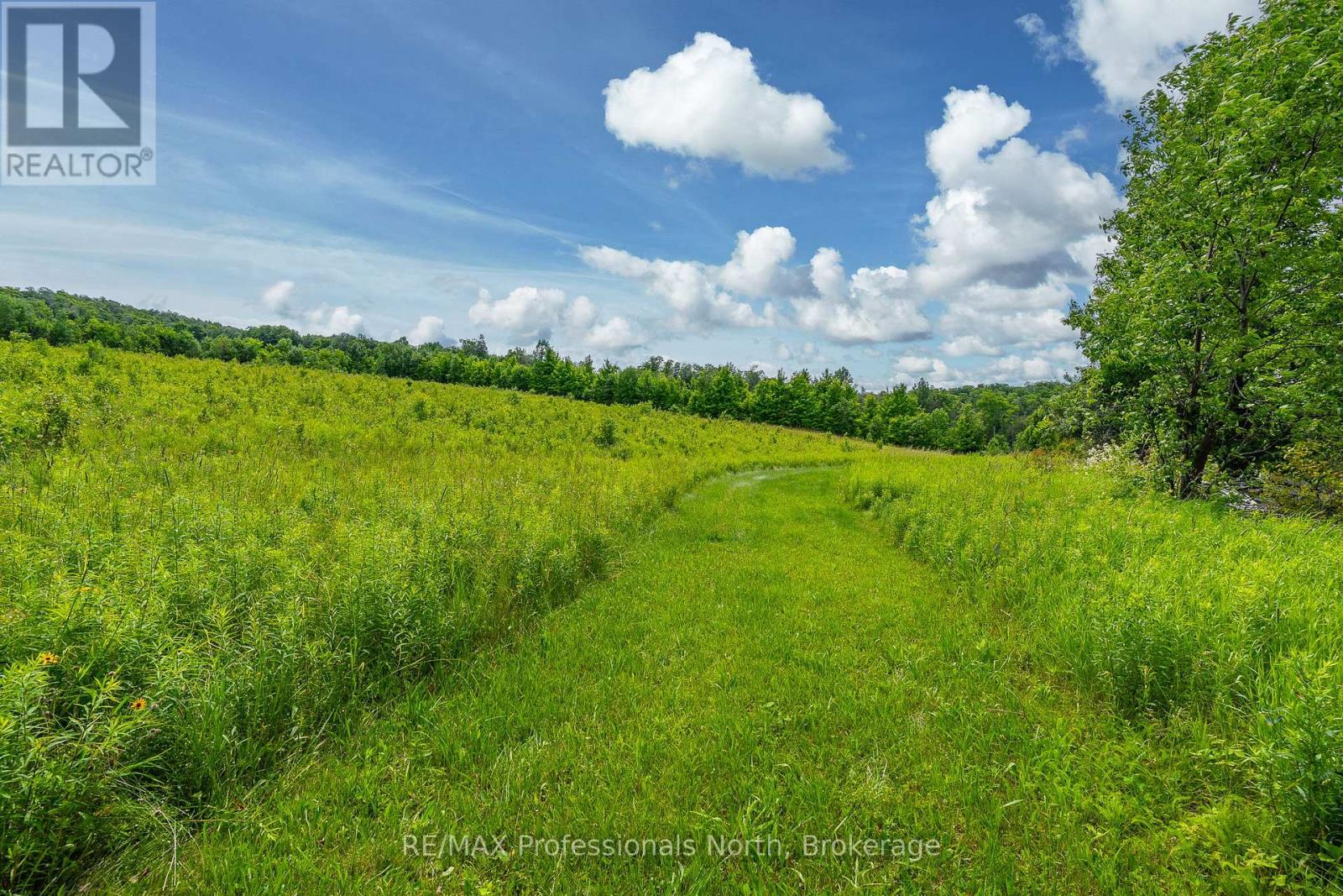 817 Schutt Road, Brudenell, Ontario  K0J 2E0 - Photo 5 - X12122049