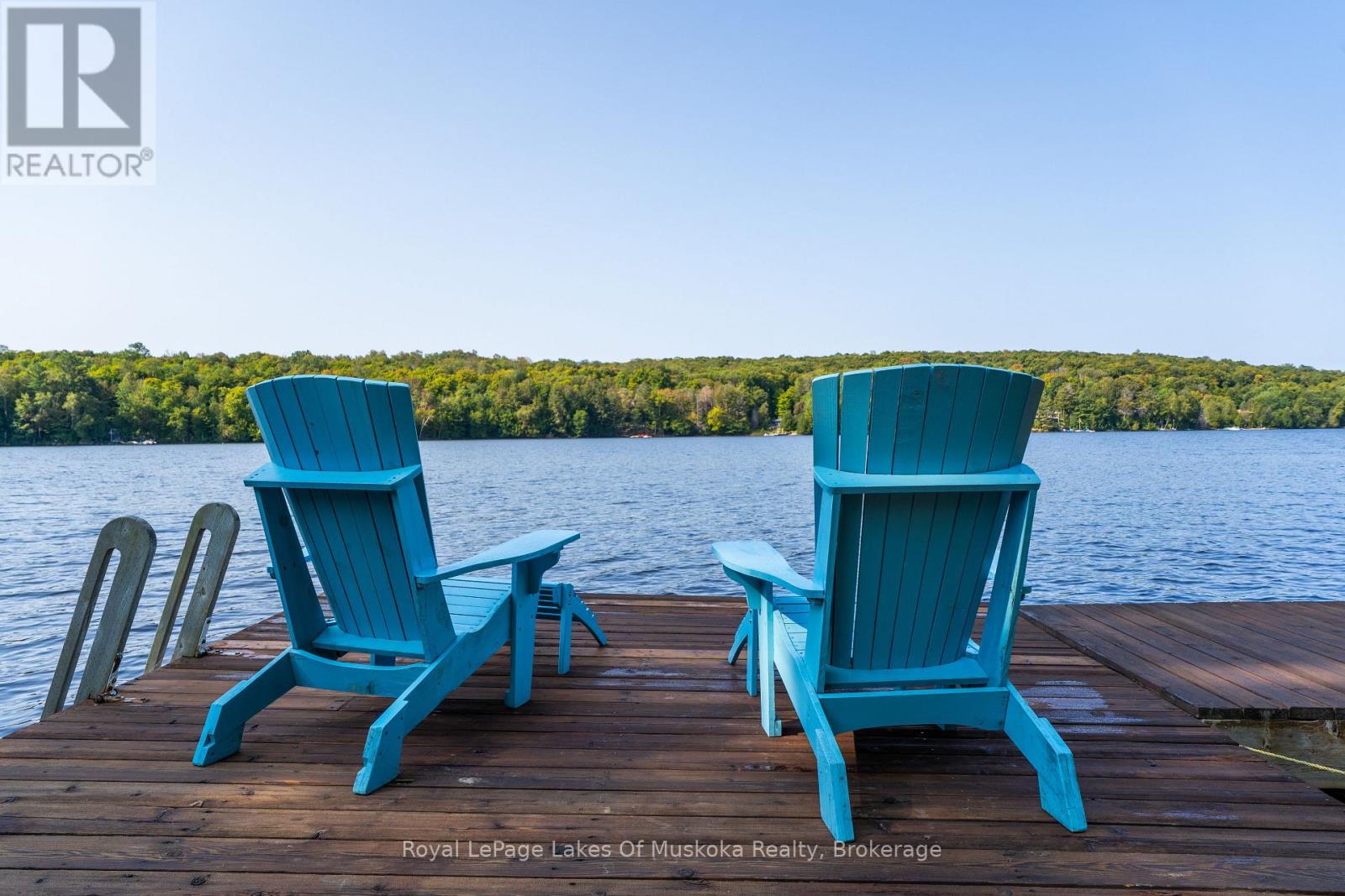 1025 Mccabe Road, Lake Of Bays, Ontario  P0B 1A0 - Photo 10 - X12122053