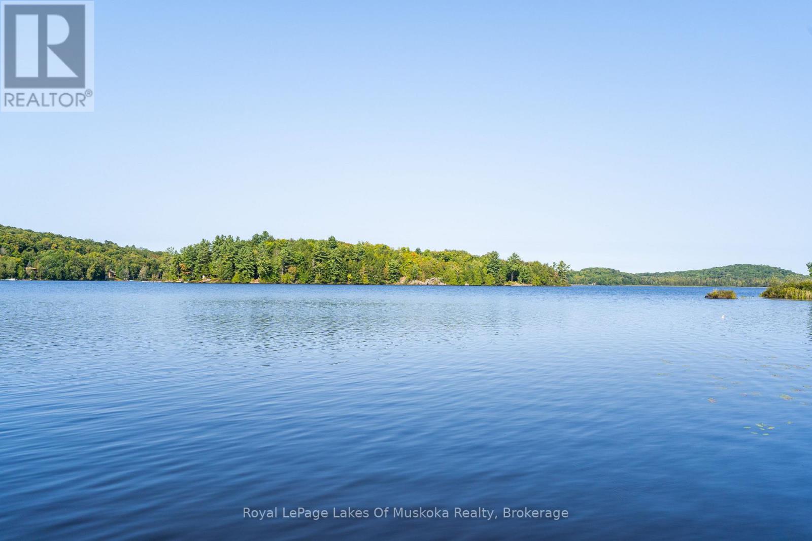 1025 Mccabe Road, Lake Of Bays, Ontario  P0B 1A0 - Photo 37 - X12122053