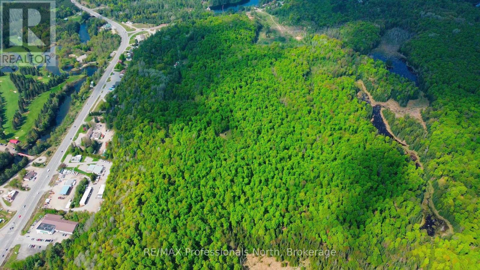 1062 County Road 21, Minden Hills, Ontario  K0M 2K0 - Photo 2 - X12122255