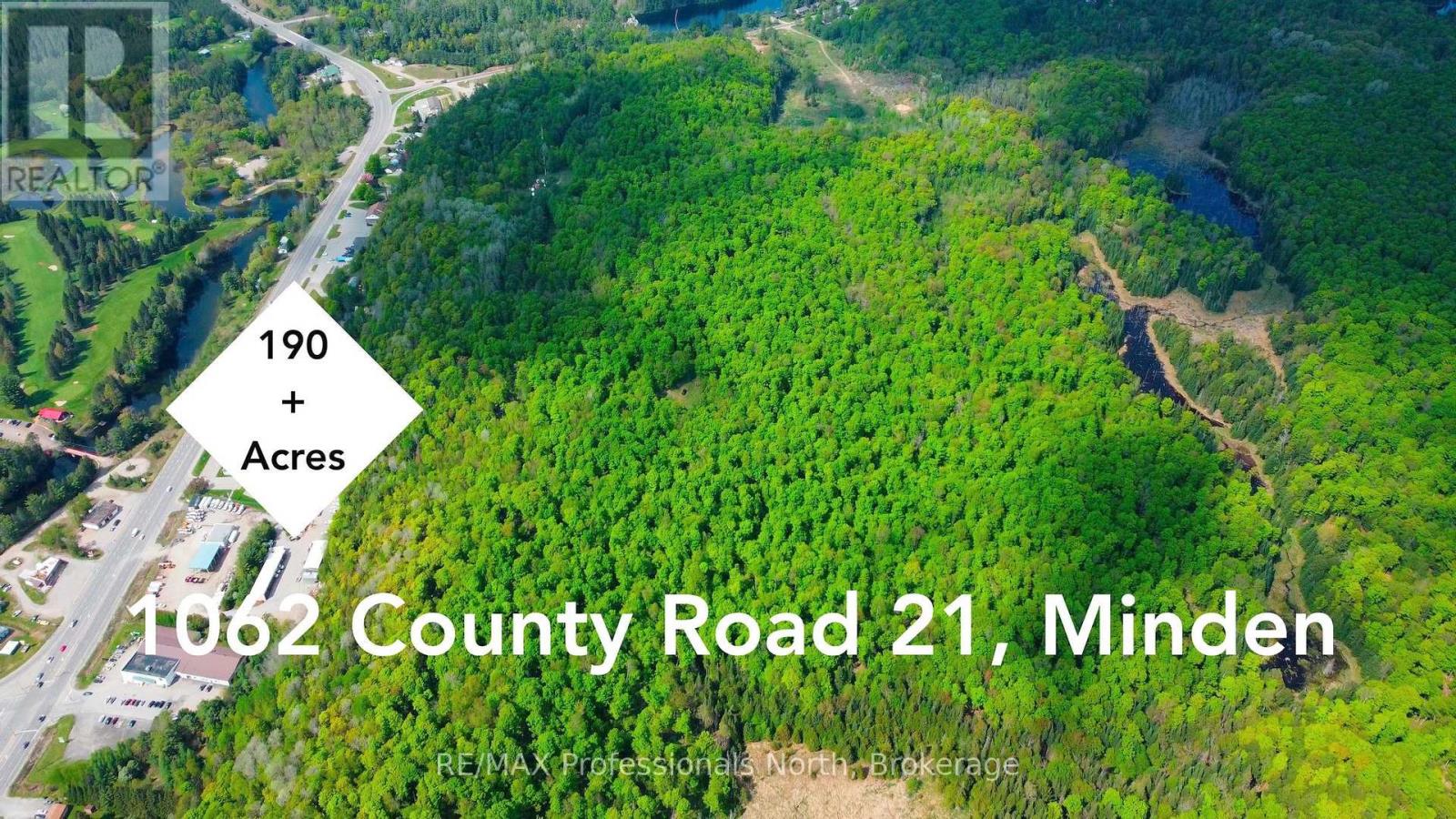 1062 County Road 21, Minden Hills, Ontario  K0M 2K0 - Photo 3 - X12122255