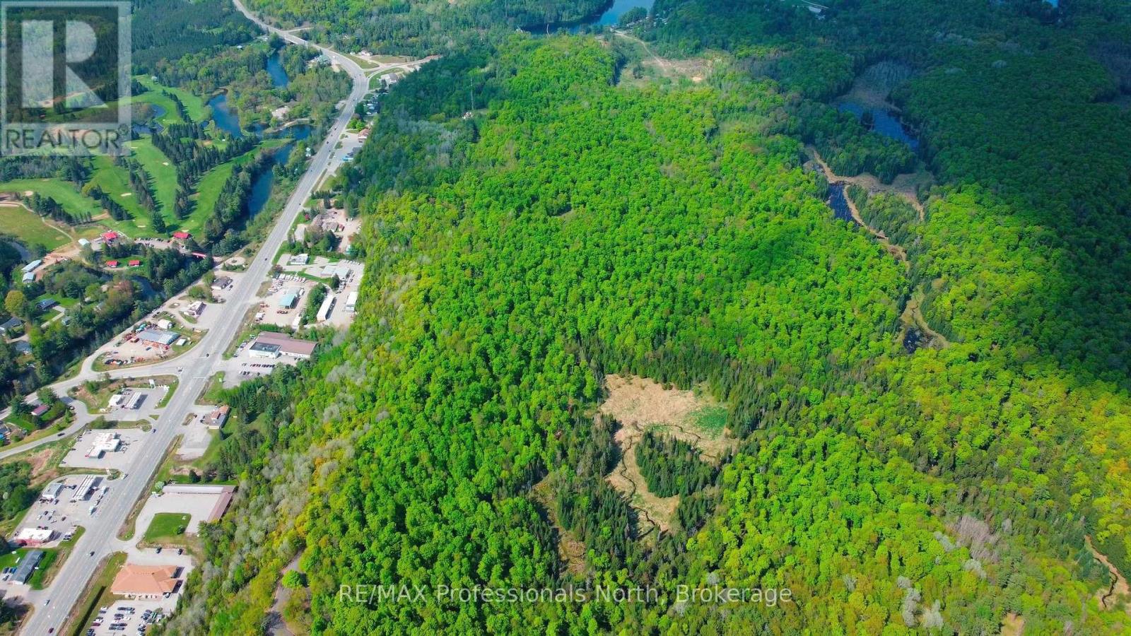 1062 County Road 21, Minden Hills, Ontario  K0M 2K0 - Photo 4 - X12122255