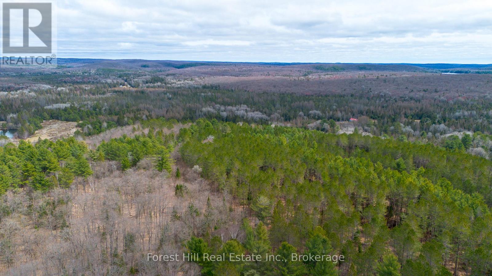 1160 Chetwynd Road S, Armour, Ontario  P0A 1C0 - Photo 14 - X12122686
