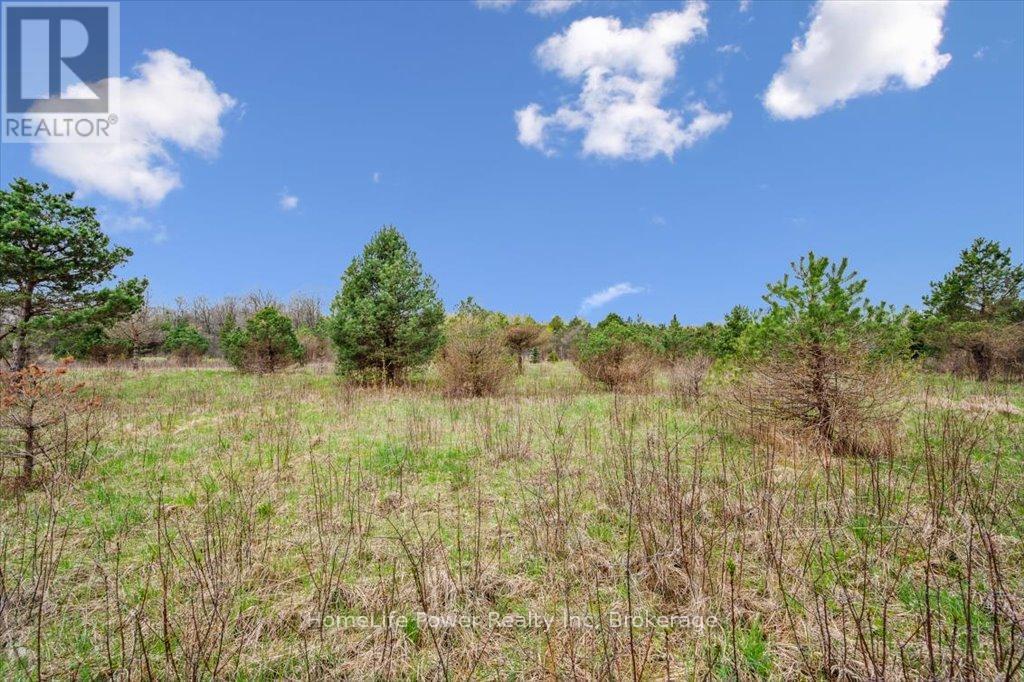 0 Pioneer Trail, Puslinch, Ontario  N0B 2J0 - Photo 4 - X12123190