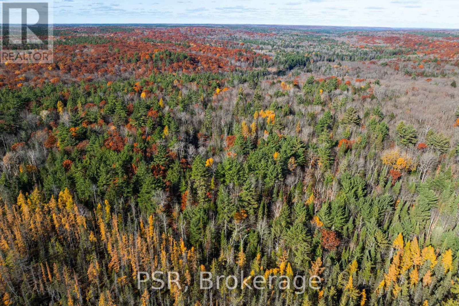 0 Fairy Falls Road, Lake Of Bays, Ontario  P0B 1A0 - Photo 17 - X12125855