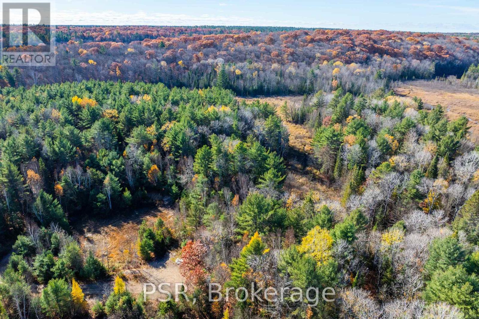 0 Fairy Falls Road, Lake Of Bays, Ontario  P0B 1A0 - Photo 18 - X12125855