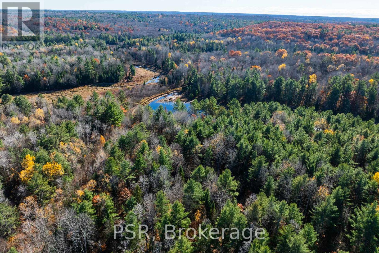 0 Fairy Falls Road, Lake Of Bays, Ontario  P0B 1A0 - Photo 20 - X12125855