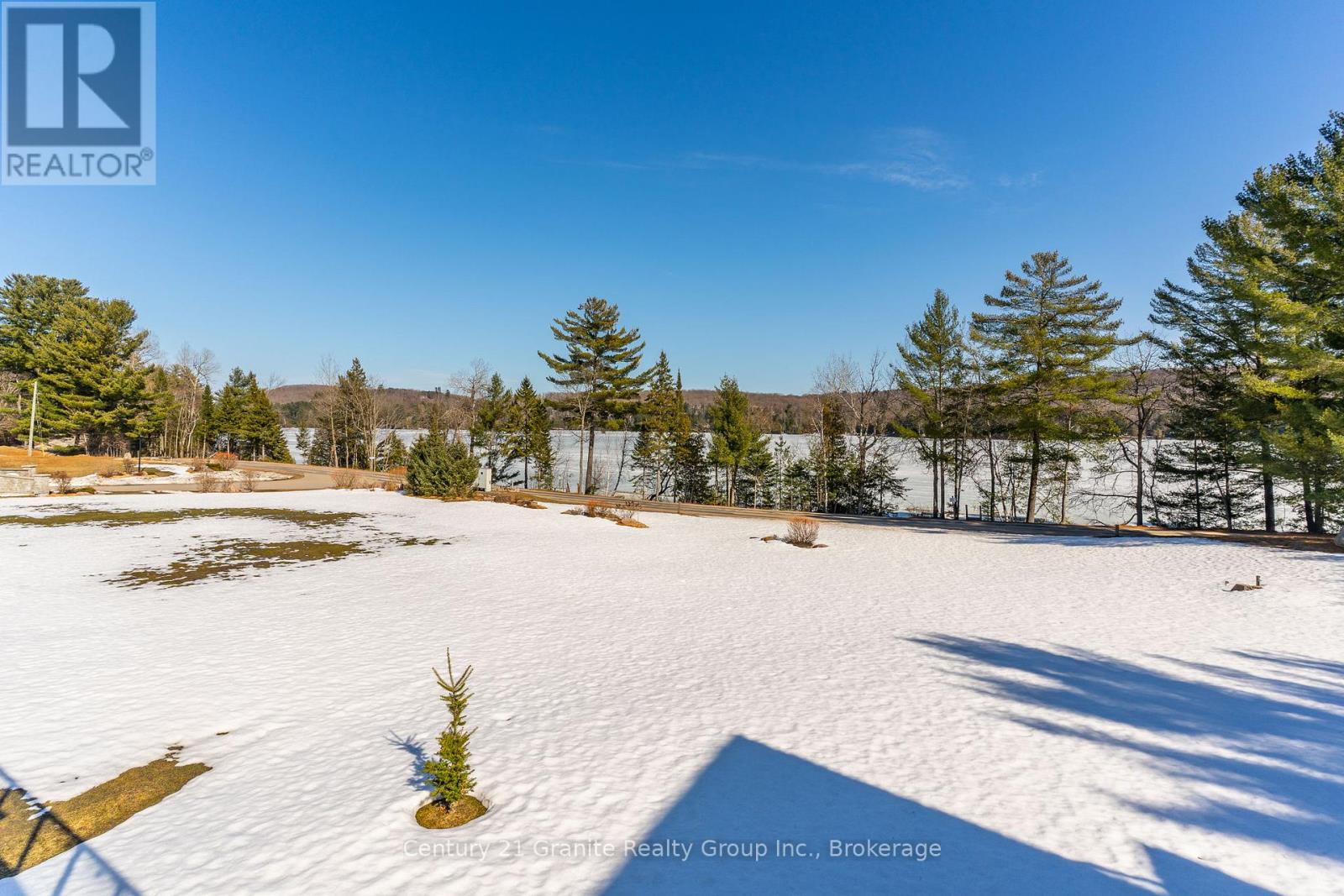 17 Webb Circle, Dysart Et Al, Ontario  K0M 1S0 - Photo 42 - X12126628