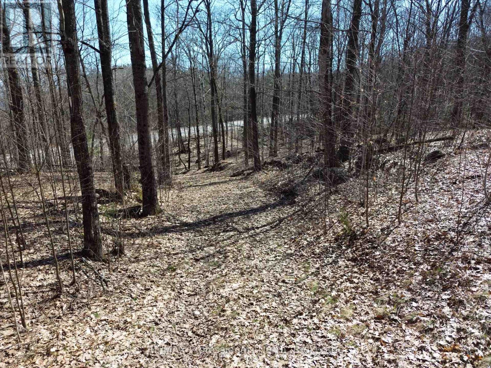 1023 Little Hawk Lake Road, Algonquin Highlands, Ontario  K0M 2K0 - Photo 1 - X12126717